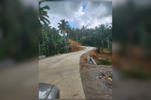 Foreign-funded rural road to boost coconut industry in Leyte