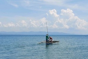 Negros Occidental town steps up blue crab conservation efforts