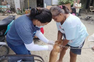 Ilocos Norte declares rabies outbreak