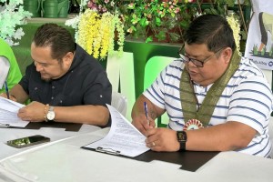 NFA, Albay province to buy palay at higher price