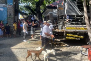 Ilocos Norte informal workers get goats for livelihood