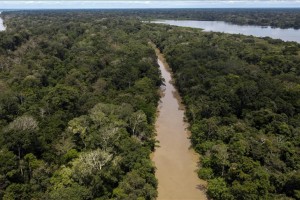 New plan to stop Amazon deforestation by 2030 bared