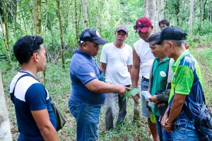 Leaf disease threatens 13K hectares of rubber farms in Caraga