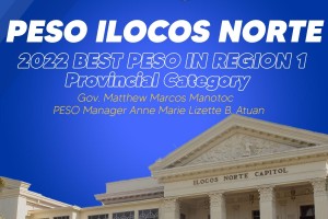 Ilocos Norte best PESO performer in Region 1