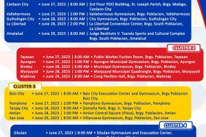 No postponement of hearings on NegOr BSKE deferment plea: Comelec