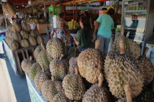 Davao City agri office to distribute 10K durian seedlings in July