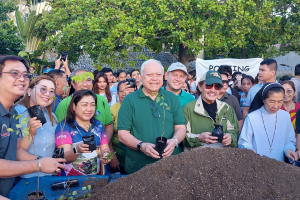 Puerto Princesa embarks on tree planting in urban areas