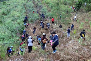 9.2K seedlings planted in Caraga's 19 sites on Arbor Day