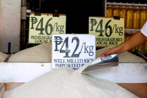 Poe warns gov't of impact of India's rice import ban