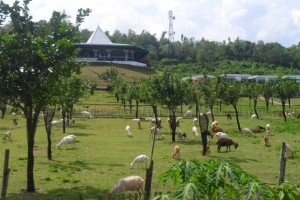 Iloilo bats for more DOT-accredited farm tourism sites