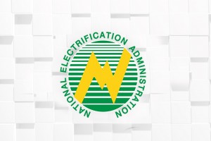 NEA grants conditional consent to Bacolod power modernization deal