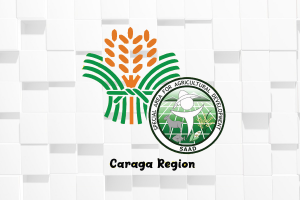 Surigao Norte farmers groups get P16.4-M DA projects