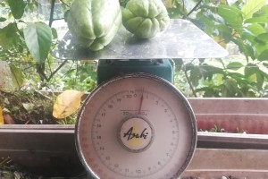 Defective weighing scales seized in Baguio markets