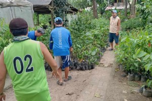 Over 3K seedlings to turn Iloilo airport gateway 'green'