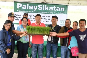 2 Negros cities pilot ‘PalaySikatan’ to boost rice yield