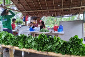 DA to extend marketing aid to Leyte farmers