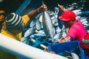 BFAR to give fishing vessels to Eastern Samar tuna catchers