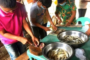 NEDA, Leyte school to check impact of 5-year fishery project