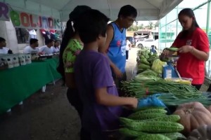 Cebu holds fusion of Kadiwa ng Pangulo, Serbisyo Caravan