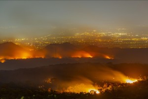 Wildfires destroy 82M hectares of forest worldwide in decade