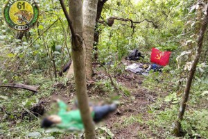 2 NPA rebels slain in encounter with gov’t troops in Iloilo