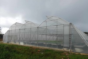 NEA urged to energize sitio hosting Antique’s greenhouse project