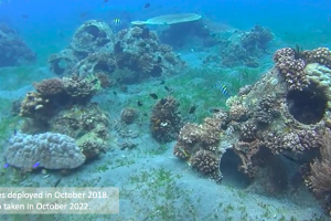 Dumaguete's artificial reef project a triple-win program