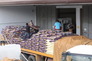 PCAFI lauds PBBM, says local rice production key to stable price