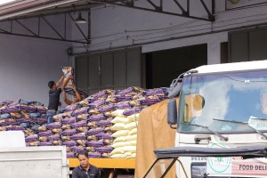  Solon backs zero tariff on rice imports to lower rice prices 