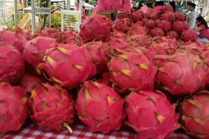 Guimaras lures more investors, tourists with dragon fruit fest