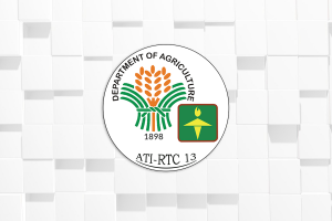 IT agri hubs in Caraga get PHP4.6M boost 