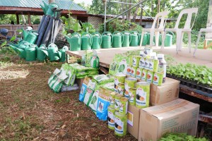 DA provides interventions to boost urban farming in Batangas