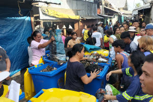 14 truckloads of trash gathered in P. Princesa's picking tilt