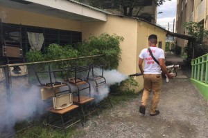 Angeles City fumigates 55 public schools vs. dengue