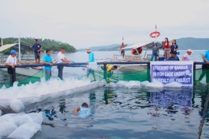P12-M aid to fisherfolk groups to boost fish production in Bicol