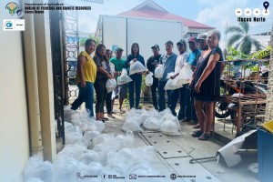 400K fingerlings distributed to Egay-hit Ilocos Norte fisherfolk