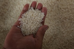 Rice vouchers under 2024 budget to benefit 28M Filipinos