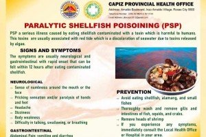 Suspected red tide toxin kills boy, downs 31 in Capiz