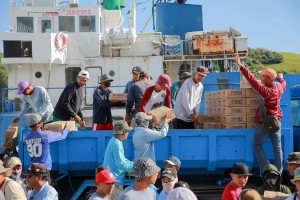 DSWD readies 10K food packs as Goring threatens Batanes