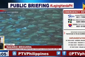 LGUs now more proactive in protecting bodies of water - BFAR