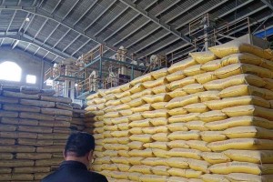 BOC finds P519-M imported rice, 'palay' in 4 Bulacan warehouses