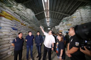 Business, labor sectors laud rice price caps