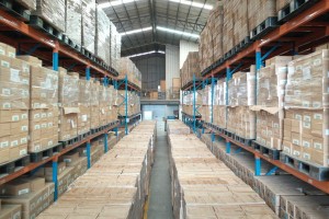 Gatchalian orders speedy delivery of 55K food packs to W. Visayas