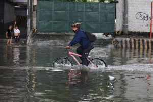 233 deaths due to leptospirosis from January to July - DOH