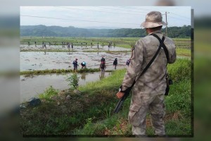 Iwahig inmates tapped for DA farming initiative