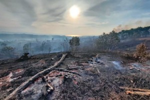 Bushfire ruins 25-hectare land in Siargao town