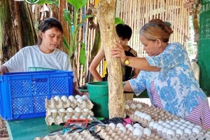 114 egg-producing groups in E. Visayas to get marketing boost