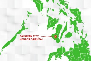 3 kids drown in Negros