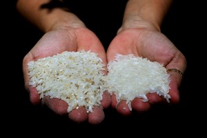 PhilRice: Mandate half-cup rice serving to address P7-M/year wastage