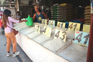 Grant of subsidy to rice retailers inclusive - DSWD chief